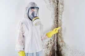 Best Mold Remediation for Healthcare Facilities  in Sullivan Gardens, TN